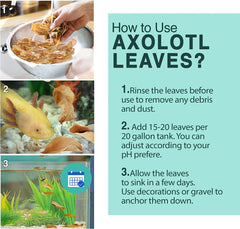 SunGrow leaf litter natural habitat offers shelter for multiple tank inhabitants.