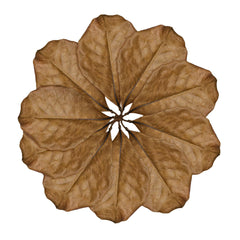 SunGrow leaf litter creates terrarium hide spaces for snakes and comfortable resting spots.