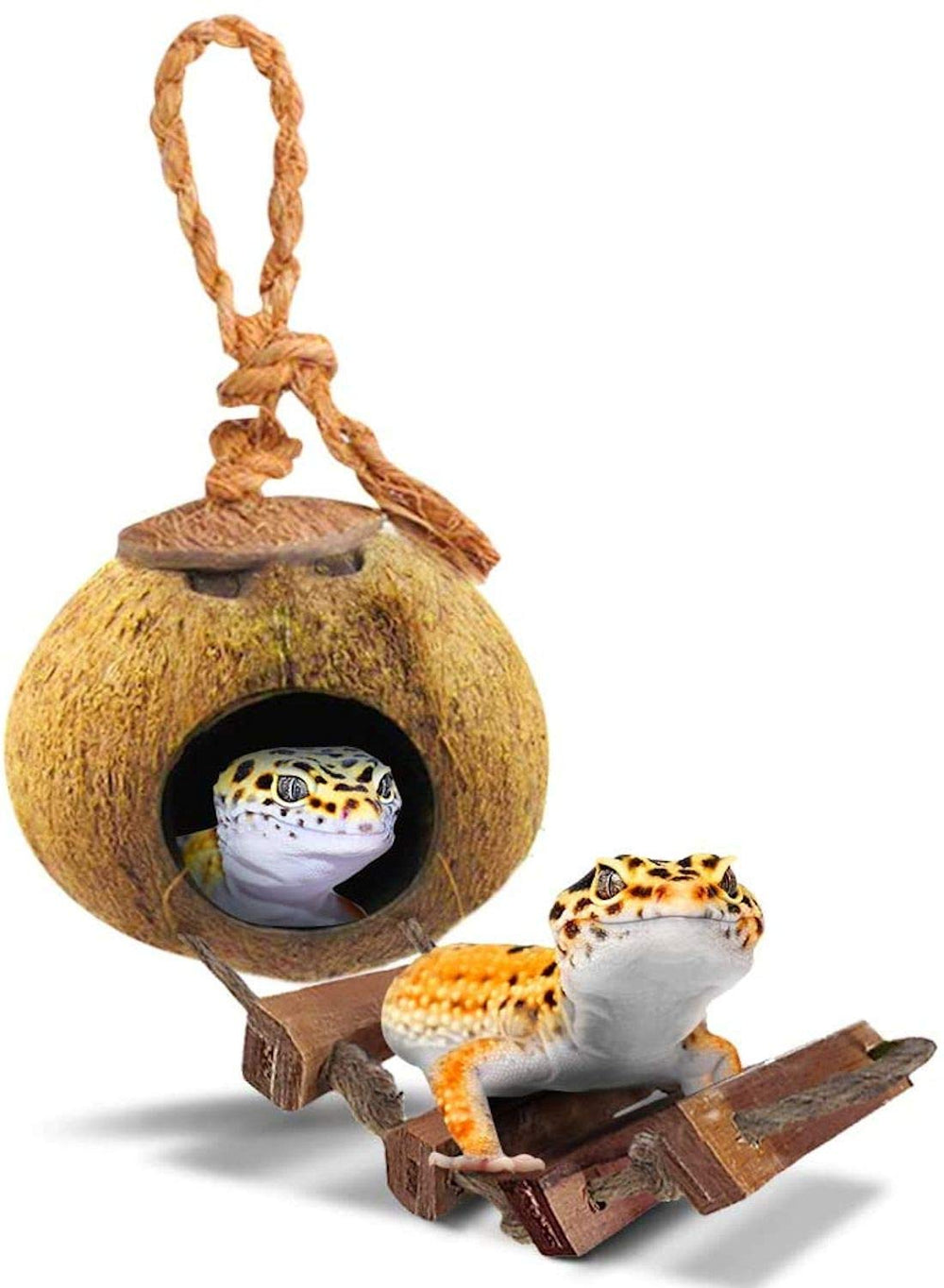 SunGrow Leopard Gecko Coconut Husk Hut front view highlights natural hideaway.