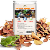 SunGrow mini Catappa leaf litter on terrarium floor creates natural frog habitat.