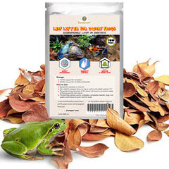SunGrow mini Catappa leaf litter on terrarium floor creates natural frog habitat.