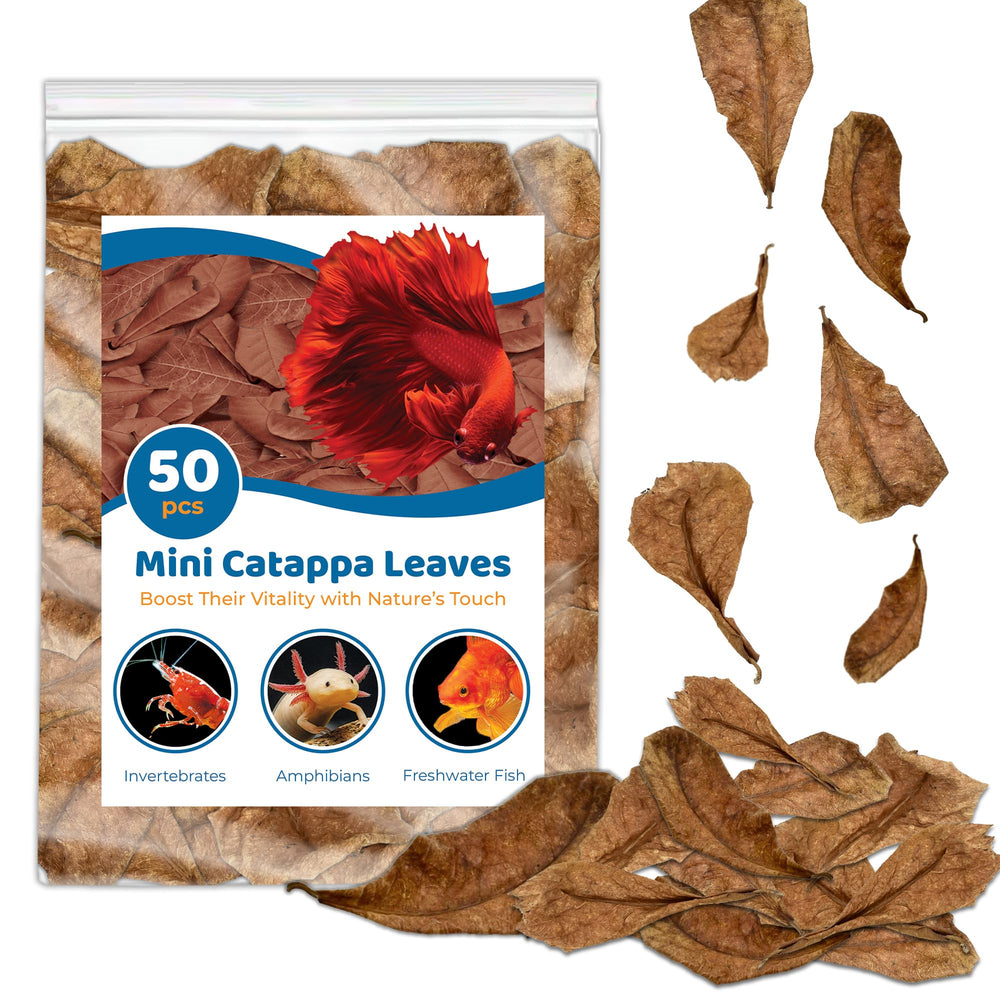 SunGrow mini Catappa leaves bundle showing natural habitat enrichment and tea-colored water.
