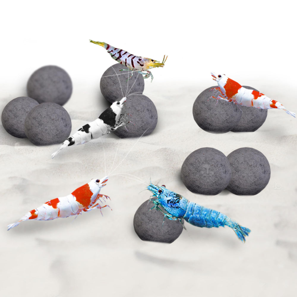 SunGrow Shrimp Balls pack close-up, compact spheres supporting shrimp energy and color.