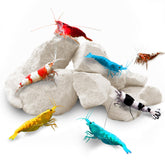 Sungrow shrimp rocks calcium stones 4oz closeup for healthier shells and vibrant color.