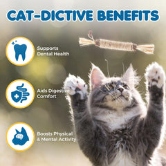 SunGrow Silvervine sticks with bell show playful, alert-friendly chewing option.