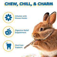 SunGrow Small animals chew toy apple wood treats for rabbits hamsters and guinea pigs