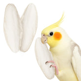 SunGrow sungrow small cuttlebones pack provides calcium support for cockatiels.