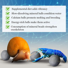Sungrow-snail-crayfish-feeding-energy shows snails and crawfish nibbling for healthier movement.