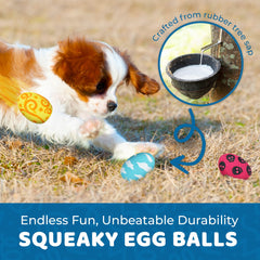 SunGrow Squeak Ball fetch-action – durable rubber for tossing and bouncing fun.