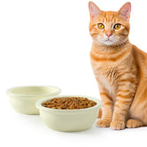 Sunhoo 2-pack ceramic cat bowls 360ml set on kitchen counter for mess-free meals