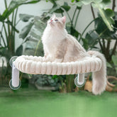 Sunhoo Cat Window Perch Bed with soft plush cushion for cozy naps