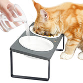 Sunhoo elevated cat bowls tilted stand for ergonomic feeding and cleaner mealtime