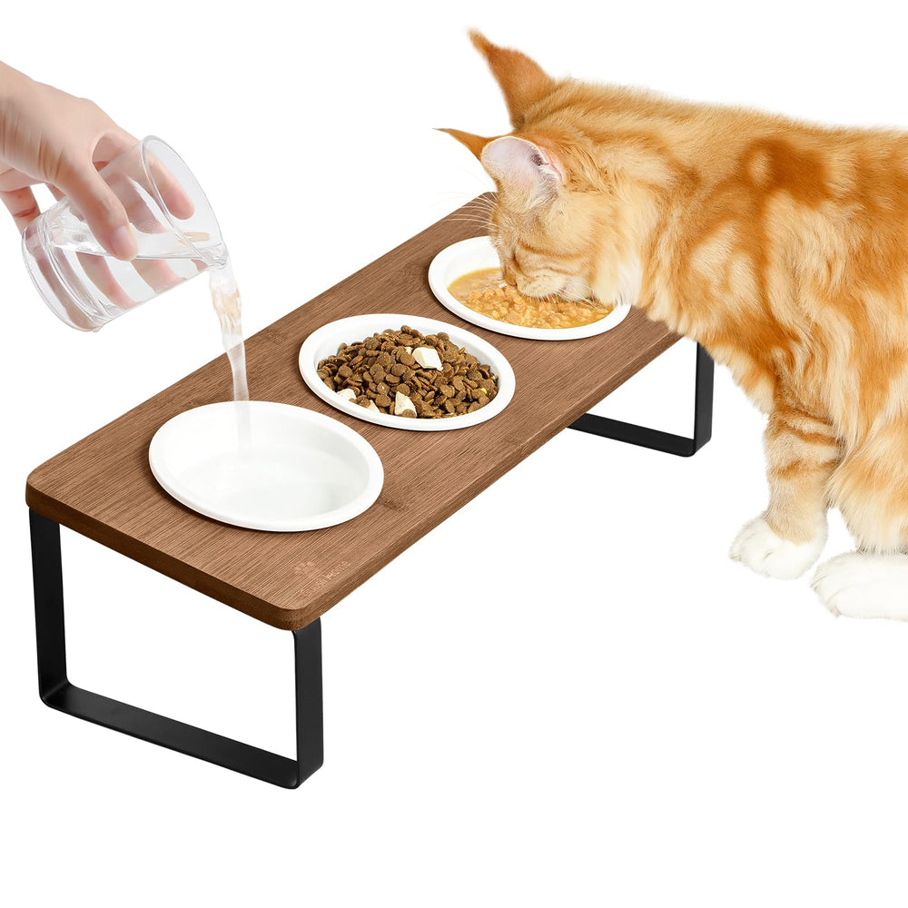 Sunhoo raised cat bowl assembly shows quick setup for a cleaner feeding space.