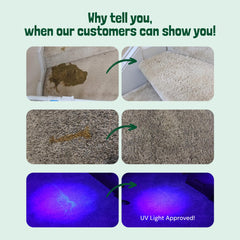 Sunny & Honey Enzyme Cleaner Spring Mint label highlights pet-safe formula