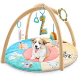 Sunnymove Puppy Play Gym assembly example showing quick setup and space-saving design.