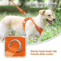 Sunraymascota adjustable sliders ensure secure fit for growing dogs