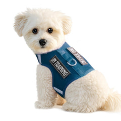 Sunraymascota dog harness in Prussian Blue full view for puppies demonstrating fit