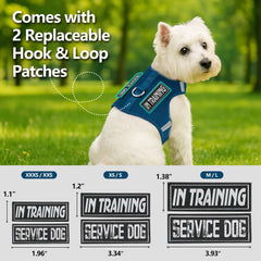 Sunraymascota dog harness on a puppy showing adjustable wearing