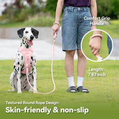Sunraymascota leash metal clip showcases rust-proof, golden-toned attachment