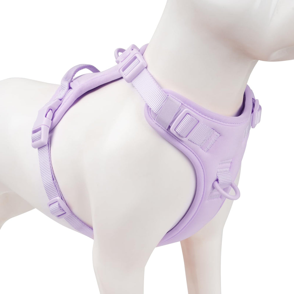 Sunraymascota no-pull front-clip harness shows front ring for calmer walks