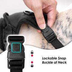 Sunraymascota No Pull Harness back-d-ring in black for daily walking control.