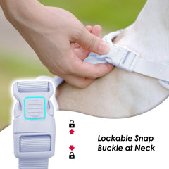 Sunraymascota no pull harness back D-ring enables easy daily leash attachment.