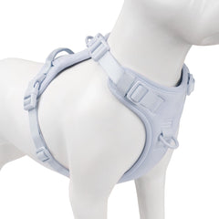 Sunraymascota no pull harness front clip prevents pulling during quick walks.