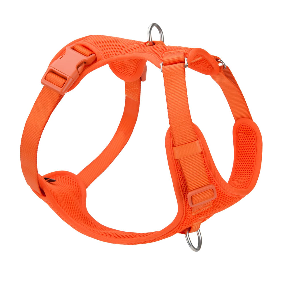Sunraymascota no pull harness front D-ring for training comfort