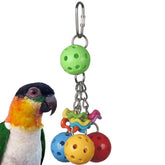 Super Bird Creations Jingleberries toy overview promotes active play and enrichment.