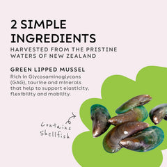 Super Snouts Joint Power image highlights green-lipped mussel ingredient delivering natural joint support.
