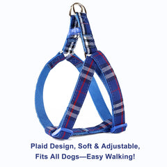 SuperBuddy five-foot leash offers reliable control during daily walks.