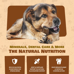 Superior Antler Dog Chews elk antler close-up; edges sanded for safety