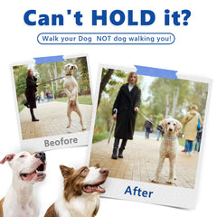 Supet prong collar, 14-inch small size with slender 2.5mm diameter for small dogs.