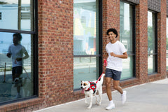 Support Pets ESA leash provides public-friendly visibility for parks, shops, and cafes.
