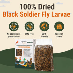 Supreme Grubs protein-rich chicken treat product image; supports healthy poultry nutrition