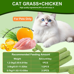 SuPruida cat grass sticks close-up reveals crunchy texture ideal for picky eaters