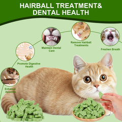 SuPruida cat grass treats offer gentle fiber to support dental-friendly routines.