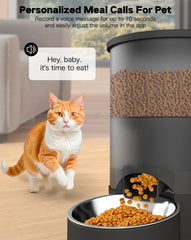 Surdy 3L capacity aids planning daily meals for two pets.