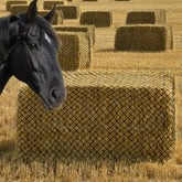 Surecha Square Bales Hay Net in a stall shows durable daily-use construction