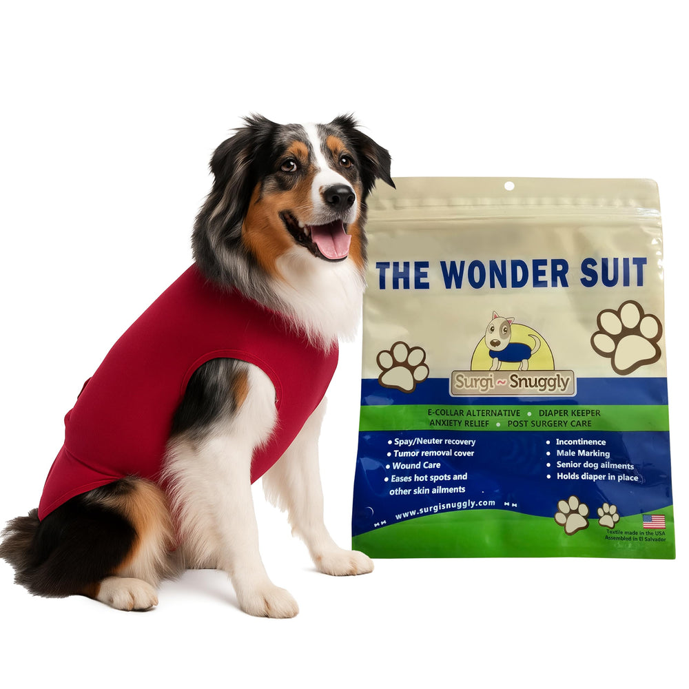 SurgiSnuggly back-opening recovery suit for dogs showing easy post-surgery wear.