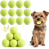 Susu & Wuwu 12-pack squeaky balls for small dogs—durable chew and fetch play.