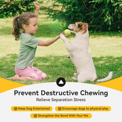 Susu & Wuwu dogs playing fetch with squeaky balls—engaging chase and bonding.