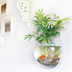 Sweetsea clear acrylic fish bowl close-up showing bright visibility