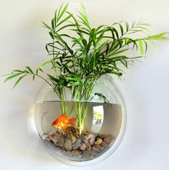 Sweetsea compact aquarium decor display in a modern wall setup