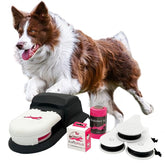 SwiftPaws Home Original main unit promotes active play and canine enrichment in backyards.