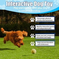 Swingers small tennis balls bounce well for fetch and training.