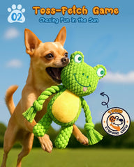 Swooflia frog squeaky toy for puppies—energetic indoor play