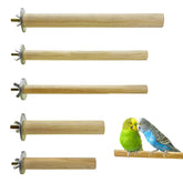 S&X Bird Perch: varied-width natural wood perches support diverse foot movement.