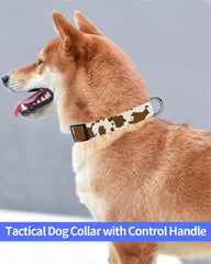 SXboxing dog collar eco-friendly buckle and rust-resistant D-ring for outdoor use.