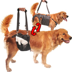 SyFatWeen dog lift harness rear legs highlights gentle rear-leg support for mobility